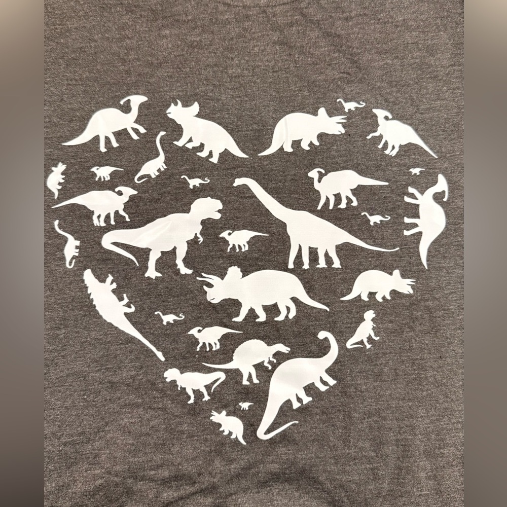 *2* Dinosaur tshirts